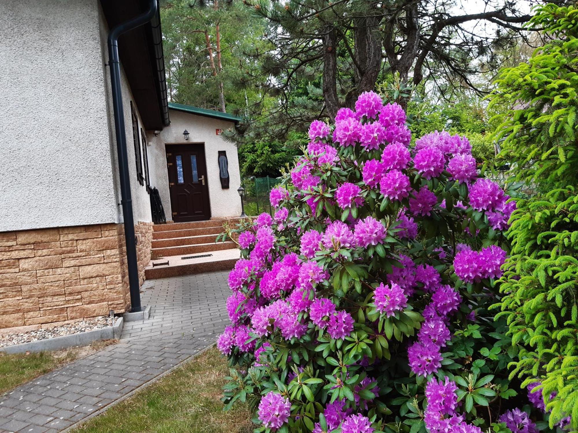 Chata Rynartice 7 Jetřichovice 外观 照片